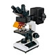 Fluorescent Trinocular Biological Microscope